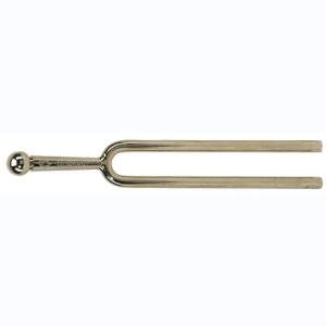 wittner accordeur 2040