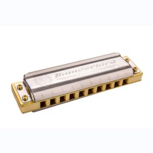 Hohner Thunderbird low G