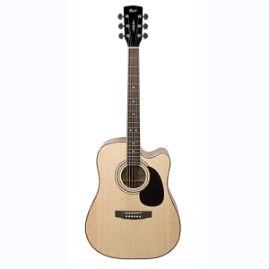 Cort Folk Gitarre 880CENS