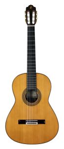 Esteve Classique Conservatory Cèdre