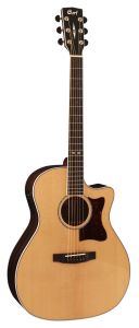 Cort folk Ga5F Ziricote Brillant