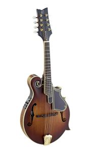 Ortega Mandoline RMFE100 Electro