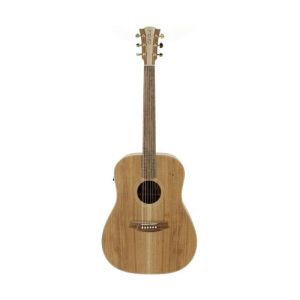 Cole Clark Guitare FL2E-BLBL