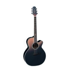 Takamine LTD2024