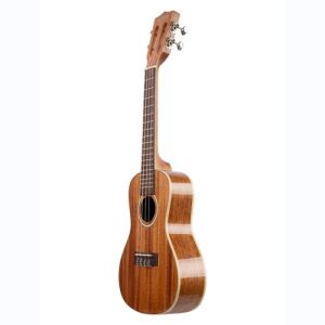 Kala Gloss Solid Mahogany, Concert