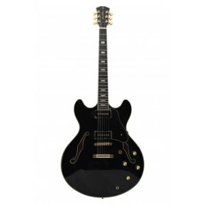 Larry Carlton H7V BK EN