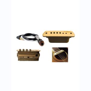 L.R. Baggs Micro rosace magnétique