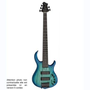 Marcus Miller basse électrique M5 Swamp Ash-4 TBL Trasparent Blue V2.0