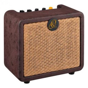 Ortega PTWO ampli acoustique