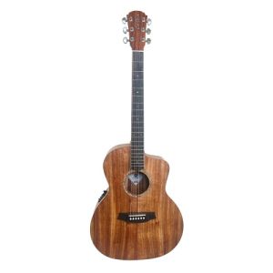 Cole Clark Guitare Studio SAN1EC-BLBL