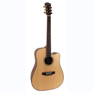 freshman guitare folk SONGDCE dreadnought electro naturelle