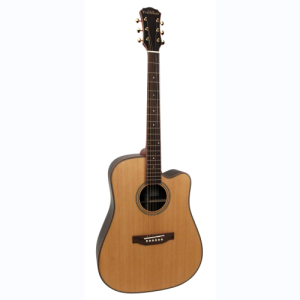 freshman guitare folk SONGDCERW dreadnought electro naturelle