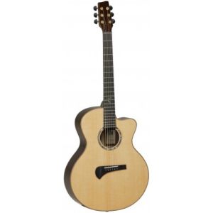 Tanglewood Master TSR2C EN