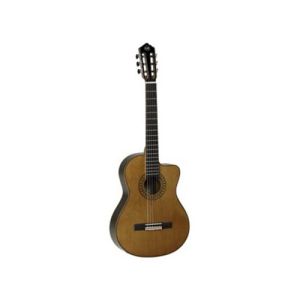 Tanglewood Dominar EMDC5 WN
