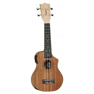 Tanglewood Tiare TWT1CE CN