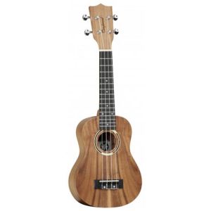 Tanglewood Tiare TWT7 CN