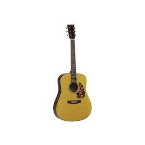 Tanglewood Sundance TW40-12SDANE LN