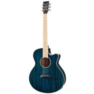 Tanglewood Winterleaf TW4 BLA