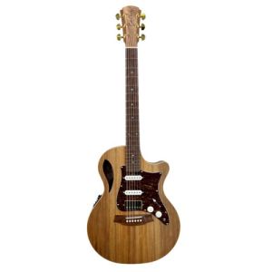 Cole Clark Guitare TL2EC-BLBL-HS