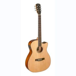 james neligan guitare folk BES-ACE N