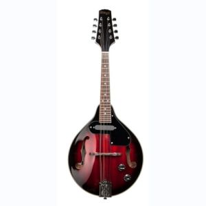 stagg mandoline M50 E