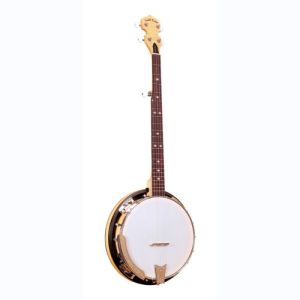 gold tone banjo CC-100R