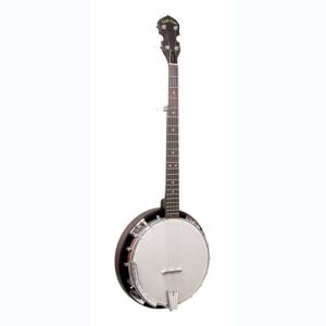 gold tone banjo CC-BG
