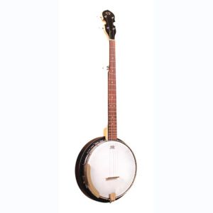 gold tone banjo AC-5