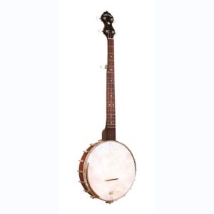 gold tone banjo CC-OT