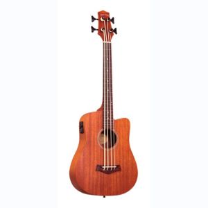 gold tone basse électro-acoustique M-BASS-FL