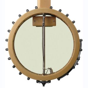 gold tone micro acoustique SMP+