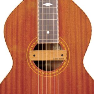 gold tone micro acoustique WBM