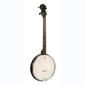 gold tone banjo AC-4