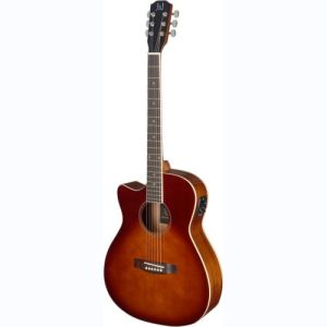 james neligan guitare folk BES-ACE DCB LH