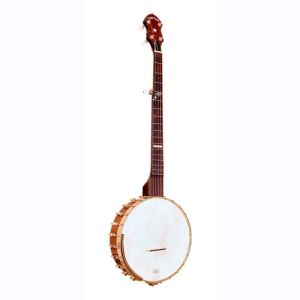 gold tone banjo CB-100
