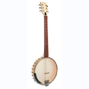 gold tone banjo BT-1000