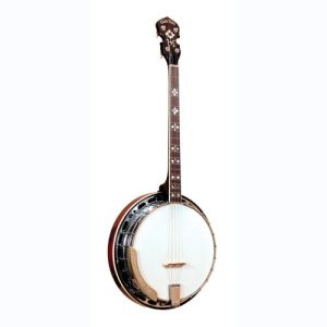 gold tone banjo TS-250