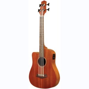 gold tone basse électro-acoustique M-BASS-L