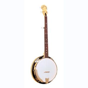 gold tone banjo CC-100RW