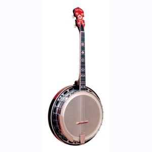 gold tone banjo IT-250F