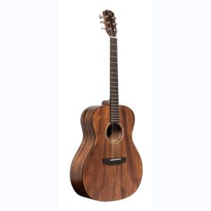 james neligan guitare folk DOV-A