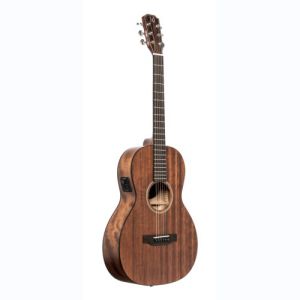 james neligan guitare folk DOV-PFI