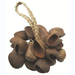 Toca Shaker Seed Shell T-SS 