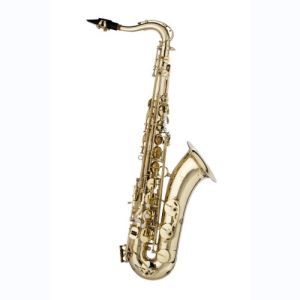 stagg saxophone WS-TS215S